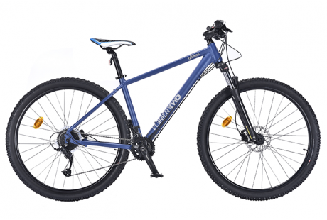 QBIKES ELEMENT TWO